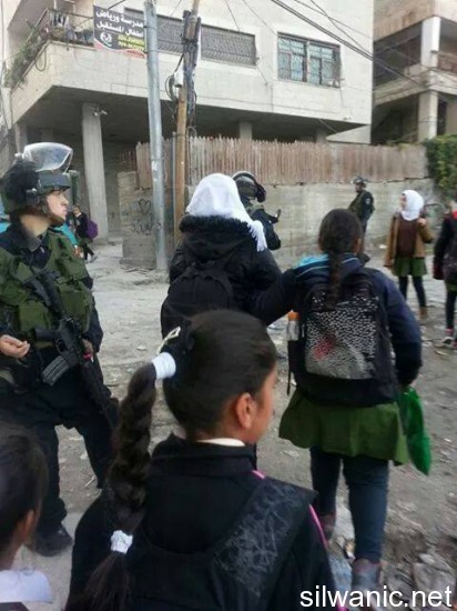 10805774_747566065322579_8918596907606813011_n