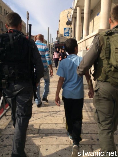 1782034_310546109154270_312170651989264812_n