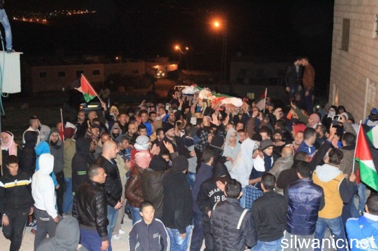 IMG_6590-نسخ-1024x682