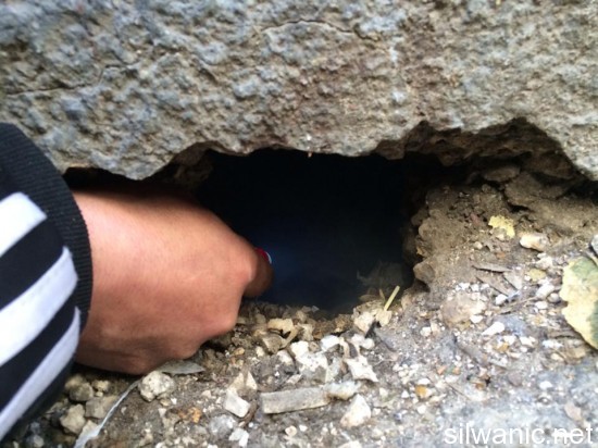 10965790_768531749891509_446527330_n