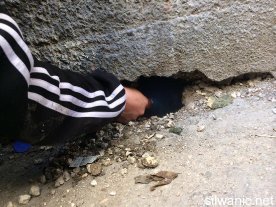 1624437_768531766558174_1541606943_n