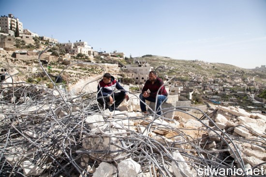 هدم عباسي سلوان 10-02-2015 (15)