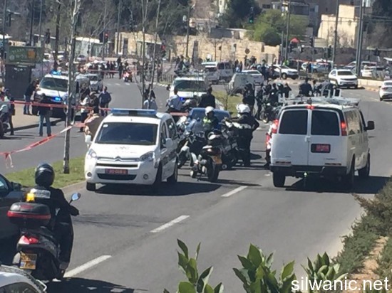 11022912_825223354199073_29668089_n