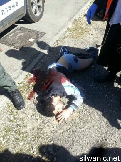 11038689_10206243531115305_4781677566399164255_n