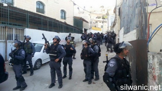 11042672_10153042675691413_328932833651332974_n