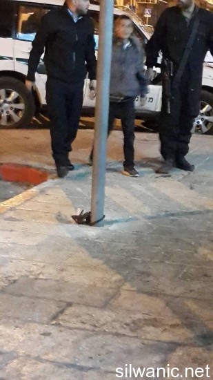 11046982_1423742551253729_721278261_n