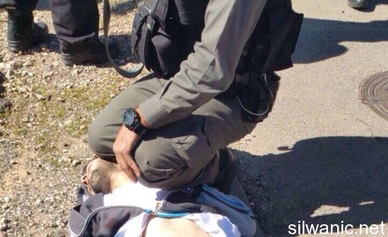 11051630_10152747814843927_506947861_n