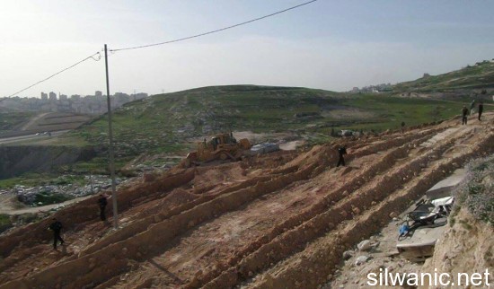 11064456_10152638410602466_852932517_o