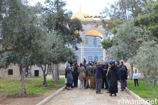 aqsa2
