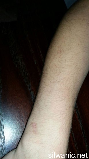 10437242_10152739700087466_1344478013_n