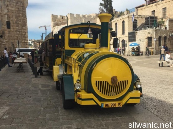 11076059_839446252776783_2078557625_n