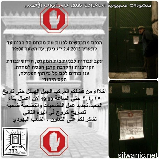 11096461_10206496208103695_585571406991889845_n