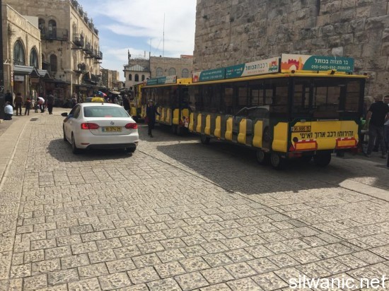 11103989_839446316110110_706914825_n