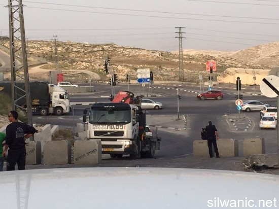 11121899_10152733975577466_883016354_n