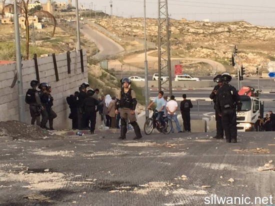 11124939_10152733976337466_2053177402_n (1)