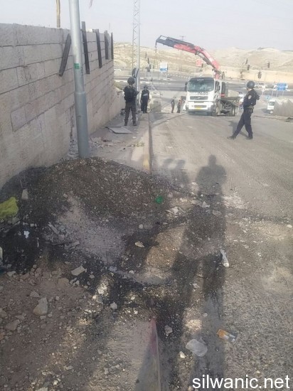 11164078_10152734110157466_614823726_n