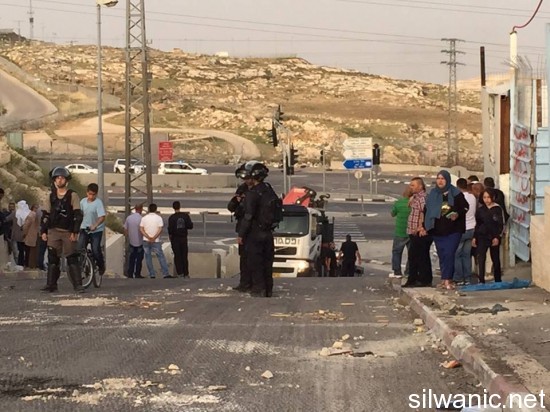 11166062_10152733974887466_960441142_n