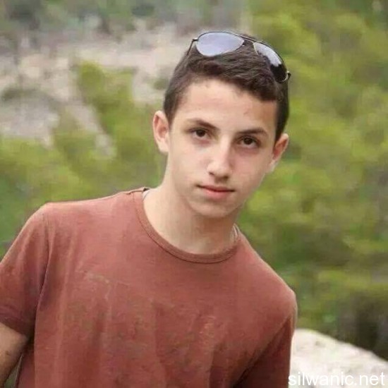 11186446_10152739700177466_337941898_n