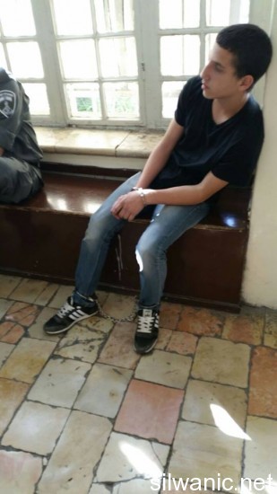 11198527_10152739700222466_1042272885_n