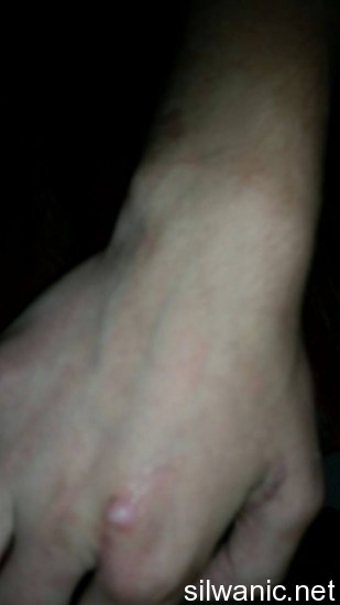 11208742_10152739700112466_245039096_n