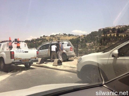 11212213_10152759253022466_1943077661_n