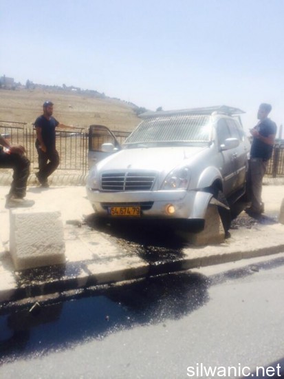 11263833_10152759252832466_352481011_n