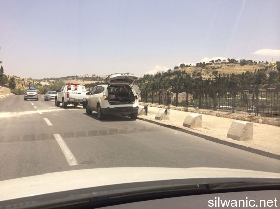 11267714_10152759252977466_1122527977_n (1)