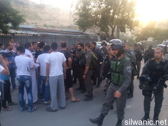 11272018_10152774830252466_261153280_n