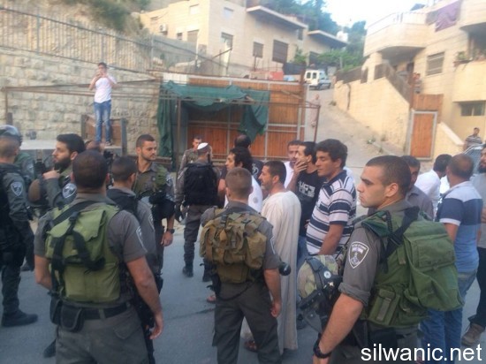 11282149_10152774830132466_647431955_n