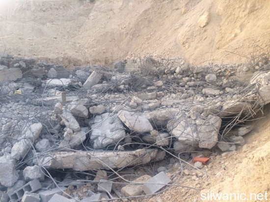 11287408_10152774829907466_507258528_n