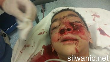 11289545_860442157343859_965785011_n