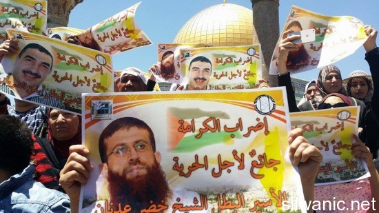 11117631_10152852019037466_1845811517_n