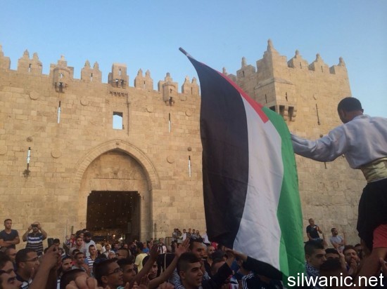 11267317_10152823705267466_2046448771_n