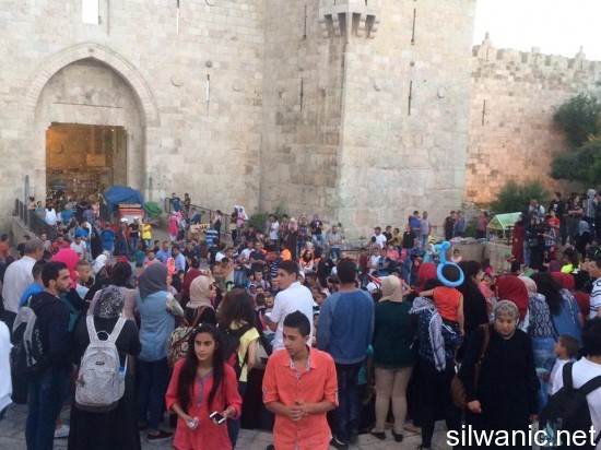 11272104_10152823705237466_711887241_n