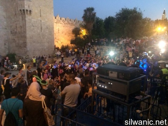 11335467_10152823704987466_946861688_n