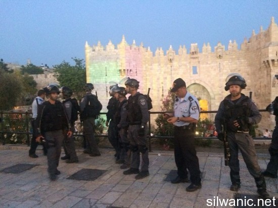 11349990_10152823705217466_1817625291_n