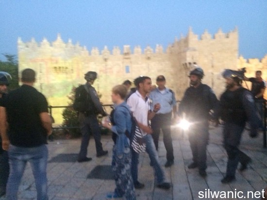 11358904_10152823705157466_1819746469_n