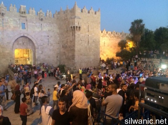 11420053_10152823705042466_926851511_n