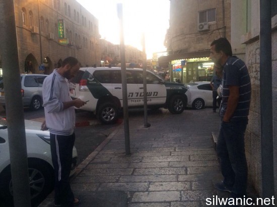 11420061_10152835976347466_1012326120_n