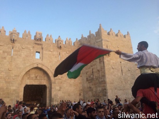 11421636_10152823679787466_1483712337_n