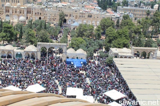 1908192_794927620621338_965309967952620965_n