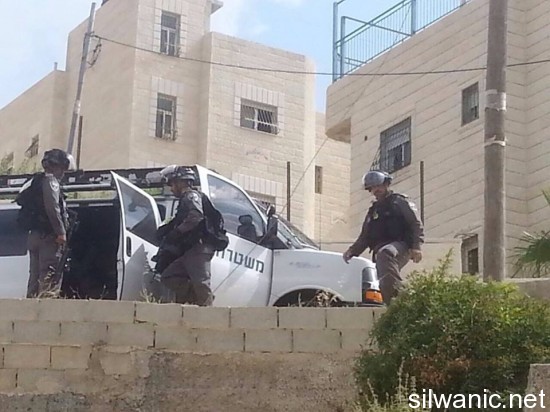 ابو جمل عائلة