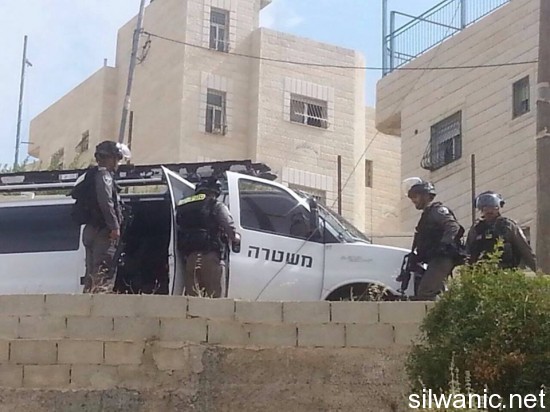 عائلة ابو جمل