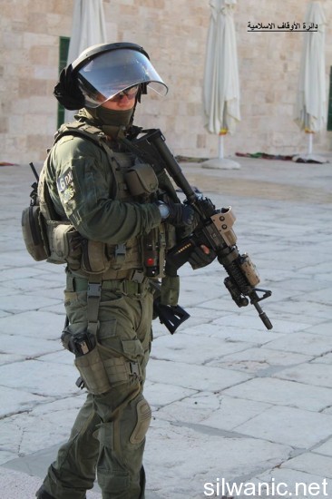 11017512_810785362368897_859109383074979070_o