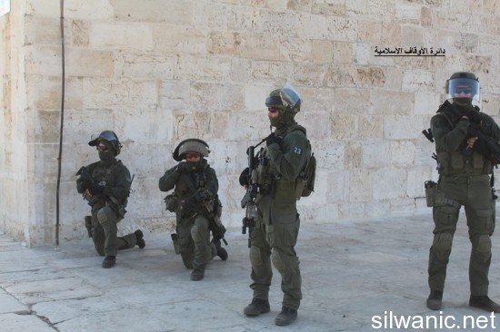 11060085_810785385702228_1419769969289470582_n