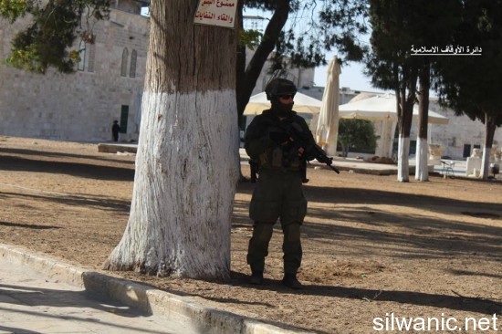 11223803_810785515702215_816076080417356138_n