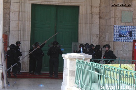 11223803_810785565702210_2617148356029637875_n