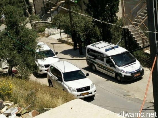 11655561_10152892501237466_1103790084_n