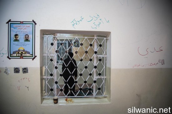 11667116_10204706338875347_953254970_n