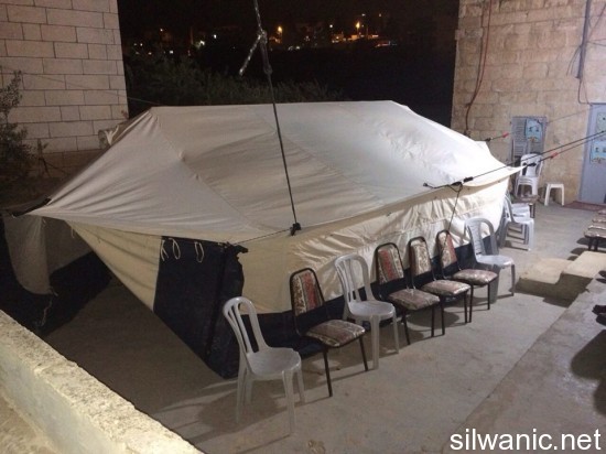 11667164_10152892795252466_567638798_n